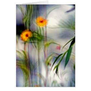 Un manque de focalisation sur les fleurs