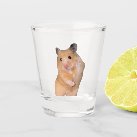 Un mème de hamster de paix en verre (Devant)