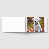 Un mignon petit chiot blanc est assis (Complet)