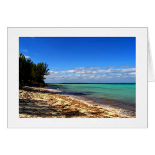 Un moment bahama