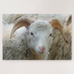 Un mouton à cornes Puzzle