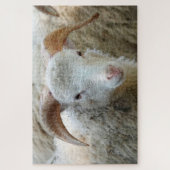 Un mouton à cornes Puzzle (Vertical)
