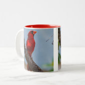 Un mug Cardinal (Devant gauche)