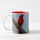 Un mug Cardinal (Gauche)