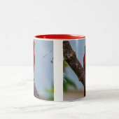 Un mug Cardinal (Centre)