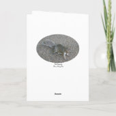 Un noeud sur votre carte de Saint-Valentin écureui (Dos)