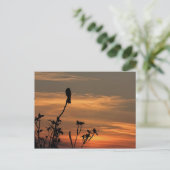 un oiseau dans l'arbre au coucher du soleil carte  (Debout devant)