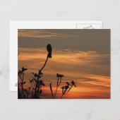 un oiseau dans l'arbre au coucher du soleil carte  (Devant / Derrière)