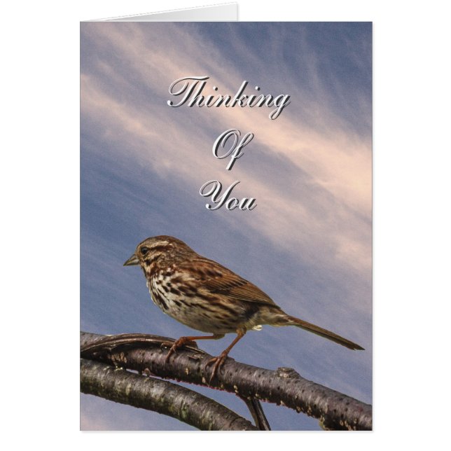 Un Oiseau Un Peu Brown (Devant)