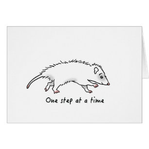 Un opossum d'étape