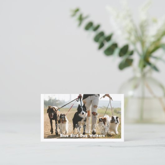 Un pack de Carte de visite marcheur de chiens (Debout devant)
