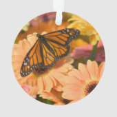 Un papillon de deuil (dos)