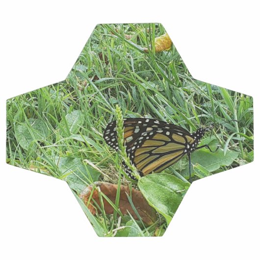Un papillon monarque (Plat)
