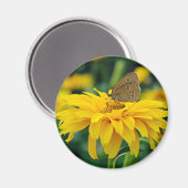 Un papillon sur un aimant à fleurs jaunes (Recto/Verso)