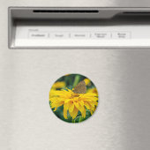 Un papillon sur un aimant à fleurs jaunes (In Situ (Lave-vaisselle))