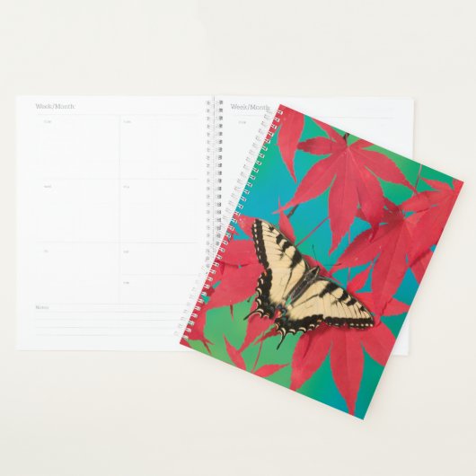 Un papillon swallowtail tigre canadien (Devant avec enveloppe)