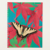 Un papillon swallowtail tigre canadien (Devant)