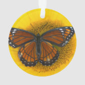 Un papillon vice-roi | Limenitis Archippus (dos)