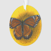 Un papillon vice-roi | Limenitis Archippus (devant)