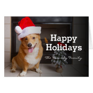 Un Pembroke Welsh Corgi heureux et festif