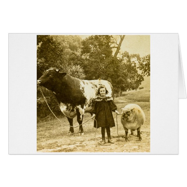 Un Petit Enfant Les Dirige (Devant horizontal)