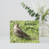 Un Petit Oiseau M'A Dit - Carte Postale (Debout devant)