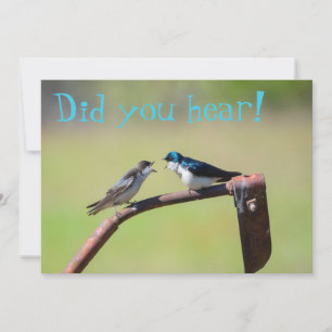 Un petit oiseau m'a dit  - invitation personnalisa