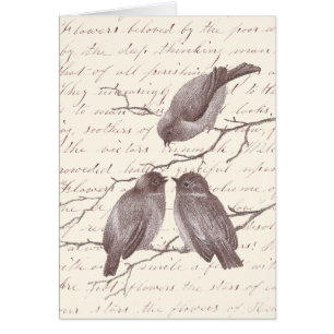 Un petit oiseau m'a indiqué : Croquis antique