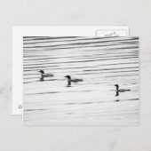 Un peu de chance - Carte postale (Devant / Derrière)