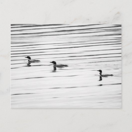 Un peu de chance - Carte postale (Devant)