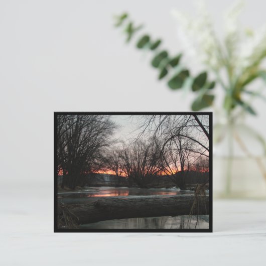 Un Peu En Février Carte Postale (Debout devant)