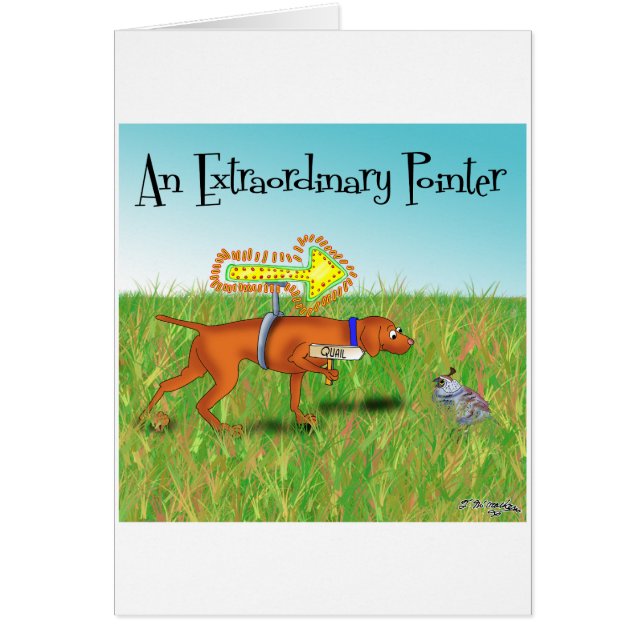 Un Pointeur Extraordinaire (Devant)