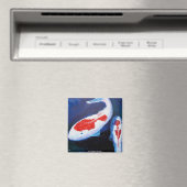 Un poisson, deux aimants de poisson (In Situ (Lave-vaisselle))