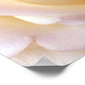 Un Poster D'Amour, S Cyr (Coin)