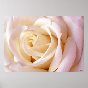 Un Poster D'Amour, S Cyr