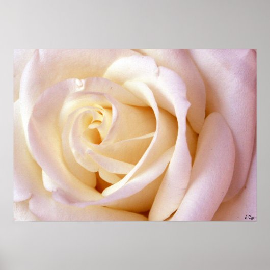 Un Poster D'Amour, S Cyr (Devant)