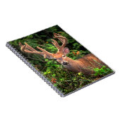 "Un prince carnet de forêt" (Côté Droit)