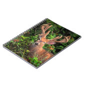 "Un prince carnet de forêt" (Côté gauche)