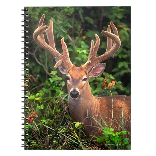 "Un prince carnet de forêt" (Devant)