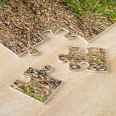 Un puzzle de canard à collier (Côté)