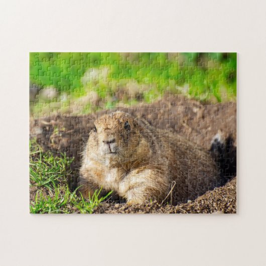 Un puzzle de petit chien de prairie à queue noire (Horizontal)