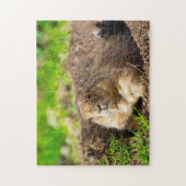 Un puzzle de petit chien de prairie à queue noire (Vertical)