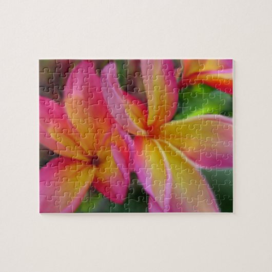 Un puzzle de Plumeria (Horizontal)