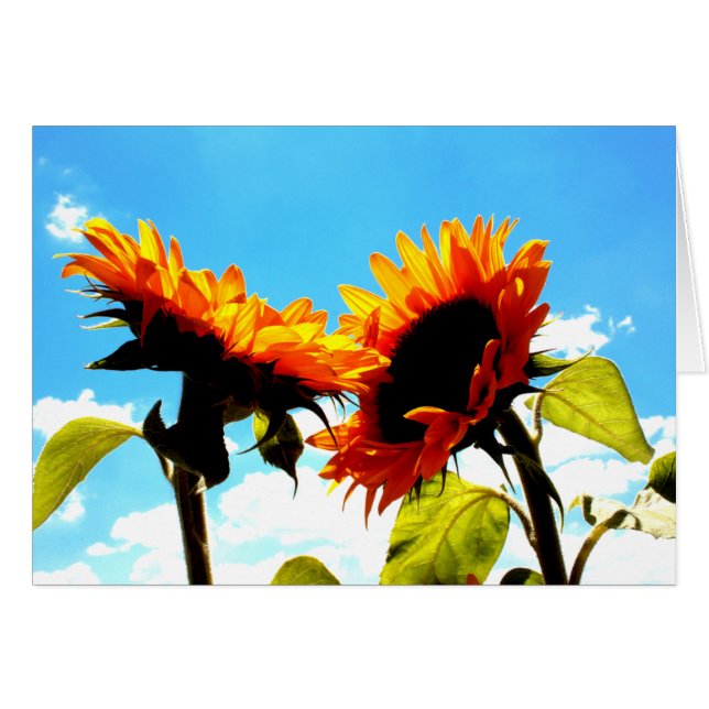 Un rappel de nous (Devant horizontal)