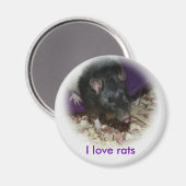 Un rat mignon qui sort son aimant de langue (Recto/Verso)