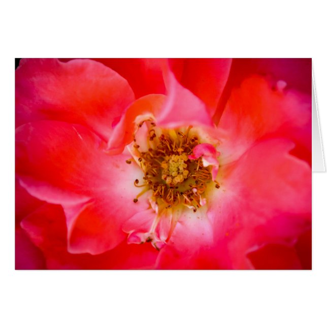 Un regard en dedans (Devant horizontal)