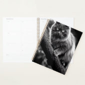 Un Regard Hantant D'Un Chat De Nuit (Devant avec enveloppe)