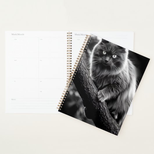 Un Regard Hantant D'Un Chat De Nuit (Devant avec enveloppe)