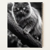 Un Regard Hantant D'Un Chat De Nuit (Dos)