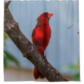Un rideau de douche au cardinal (Devant)